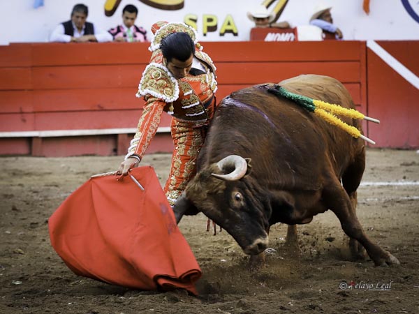 Ce�idos pases por el derecho