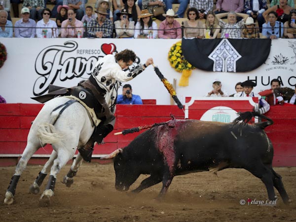 Metiendo la cara abajo