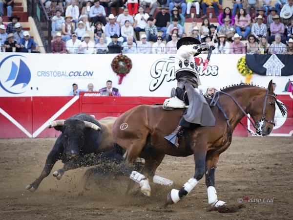 Toreando con la jaca