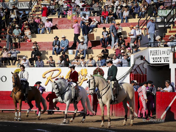 Caballistas en el carnaval