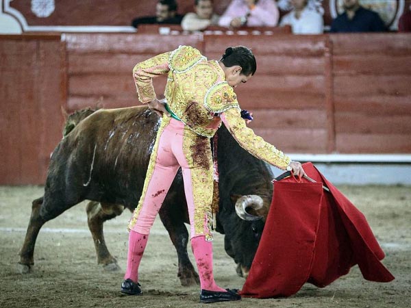 Dominio de las alturas