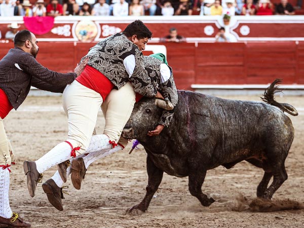 Jalos gusta de los forcados