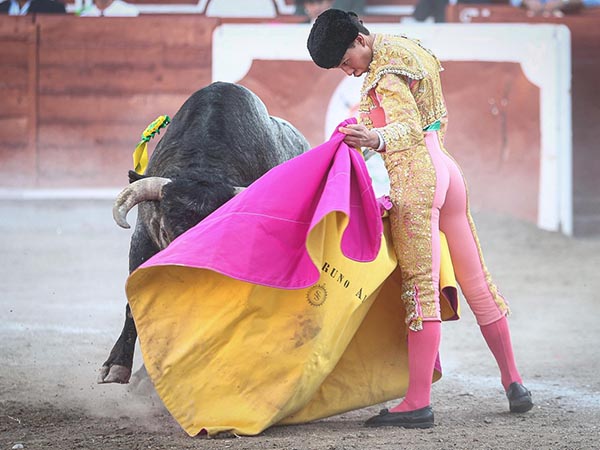 Mecidas ver�nicas de Bruno