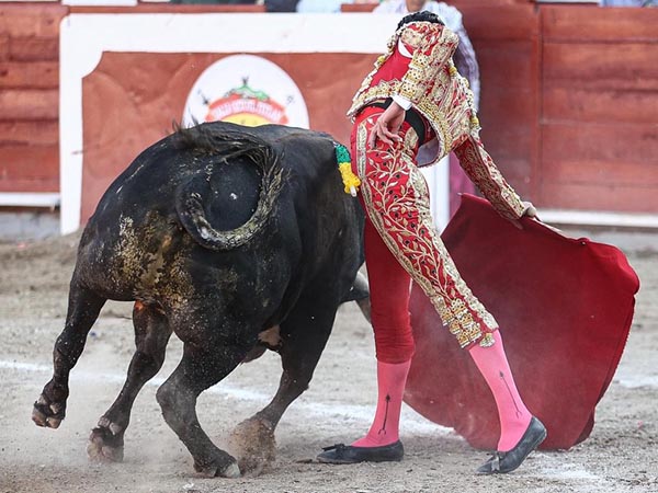 Trazo largo en los pases