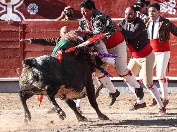 Los forcados en la pega