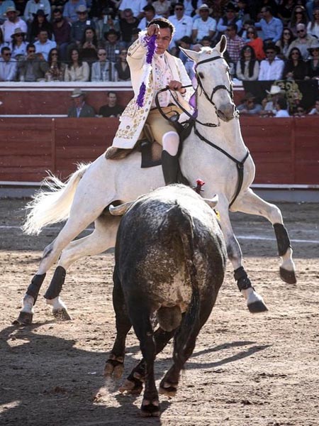 Oficiando el segundo tercio