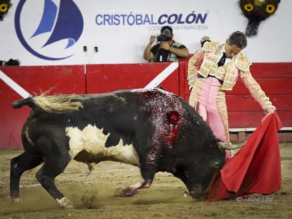 Conjunci�n de toro-torero