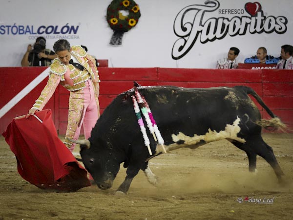 Mismo tenor de torer�a