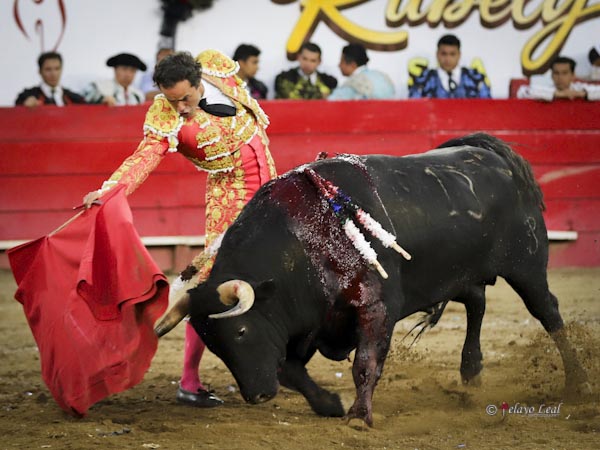 Muletazos de val�a