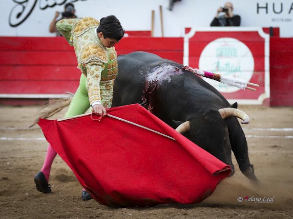 Marco P�rez en el carnaval