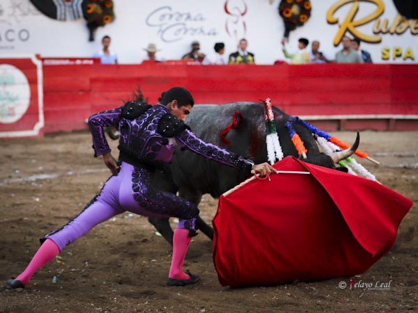 Un toro serio, enrazado, nada f�cil