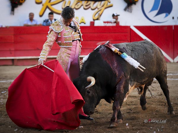 Reposadas series por el derecho