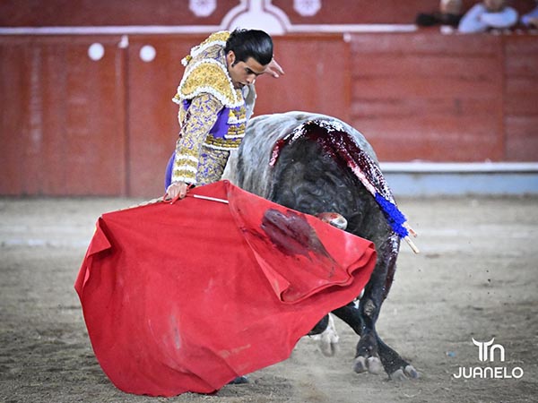 Llev�ndolo toreado