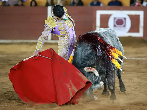 Torero con gran oficio