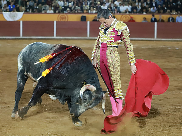 Torero con sello
