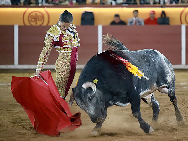 La verticalidad como norma