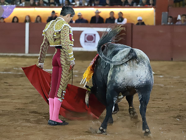 La calidad de la embestida