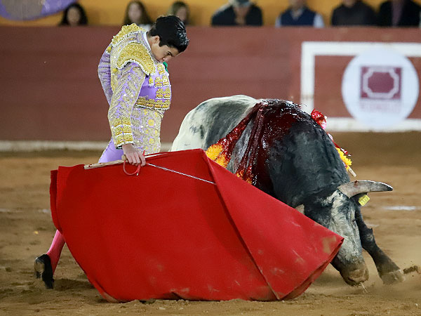 Est�tica y limpieza