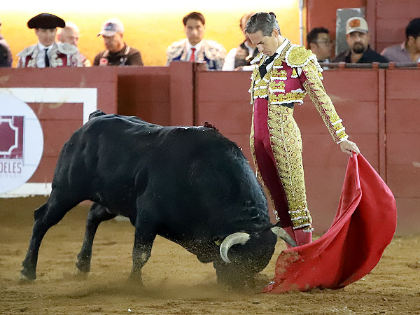 Diego Silveti en plenitud