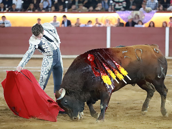 Momentos con torer�a