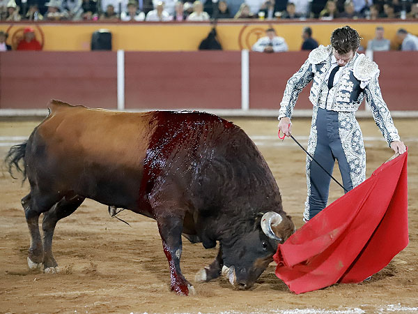 La est�tica singular de 