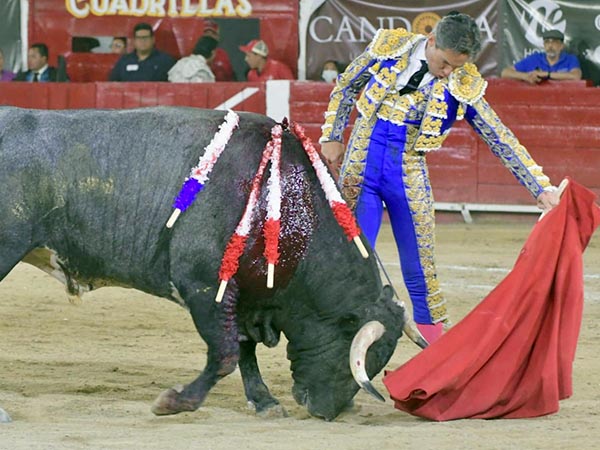 SIlveti obsequi� un octavo ejemplar