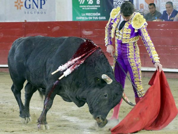 Desmayando el enga�o