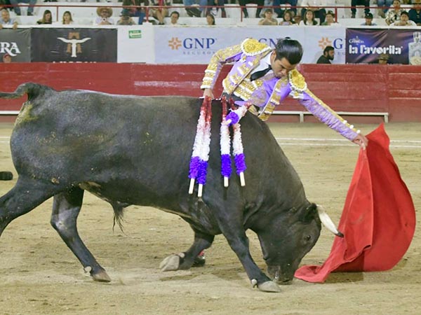 Buen pit�n izquierdo