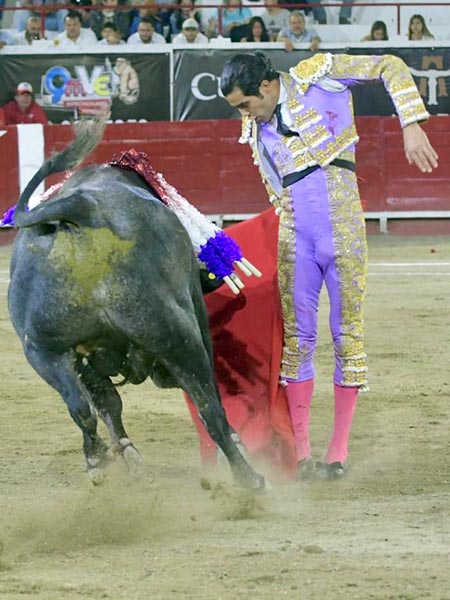 Variedad en su muleta