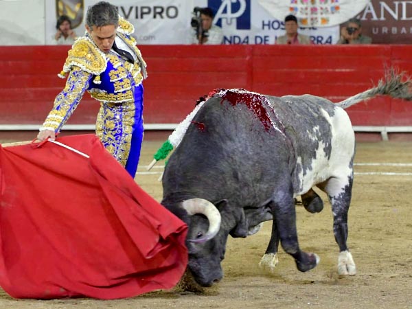 La nobleza del berrendo