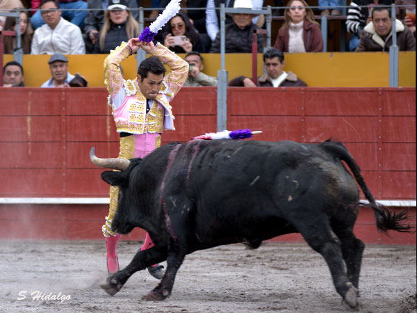 Bien en el segundo tercio