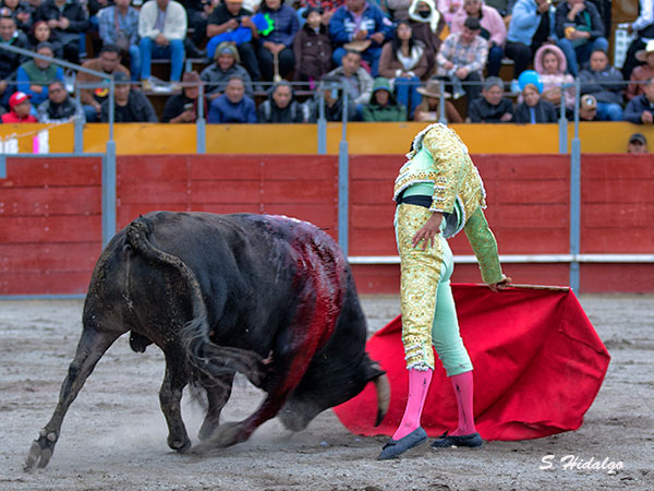 Templando la embestida
