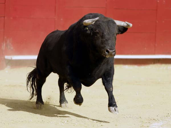 Las hechuras del sexto