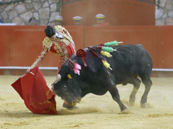 Lo comprendi� de principio a fin