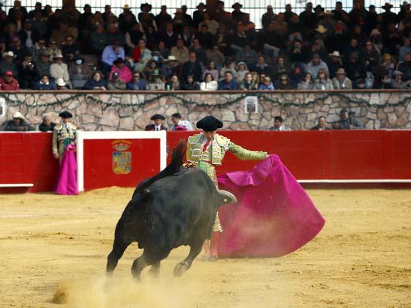 Bruno, en el quite por saltilleras