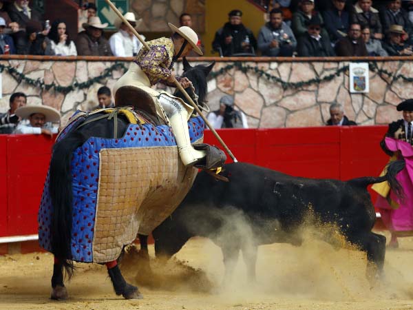 El Miura en la suerte de varas