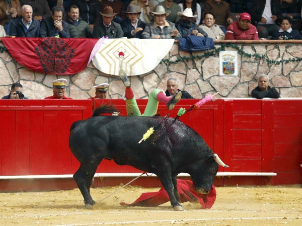 Se lo ech� a los lomos