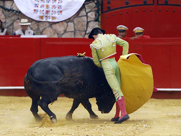 Rematando los lances