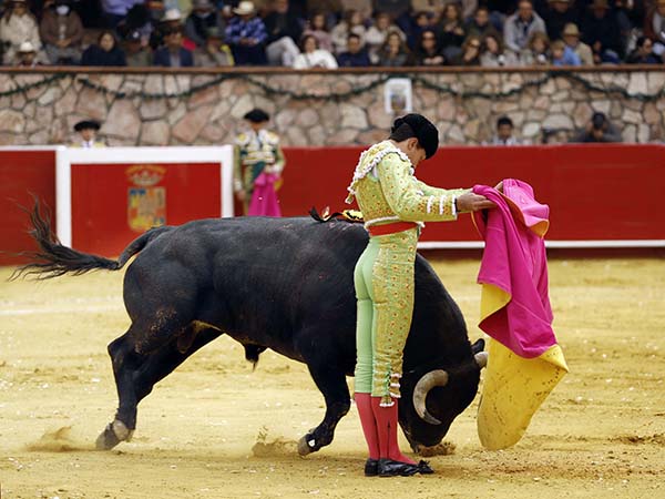 Estoica tafallera de Bruno Aloi