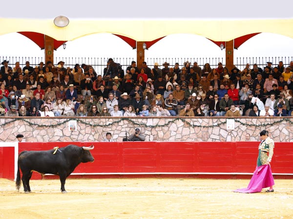 �Toro, torero y p�blico!