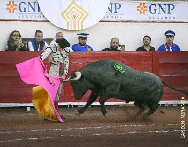 Logr� meterlo al capote