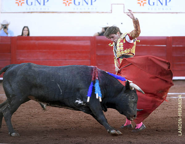 Faena est�tica y variada