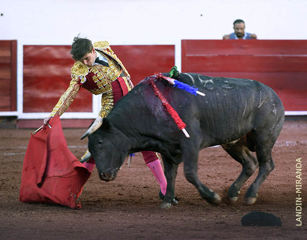 Acompasadas tandas en los medios