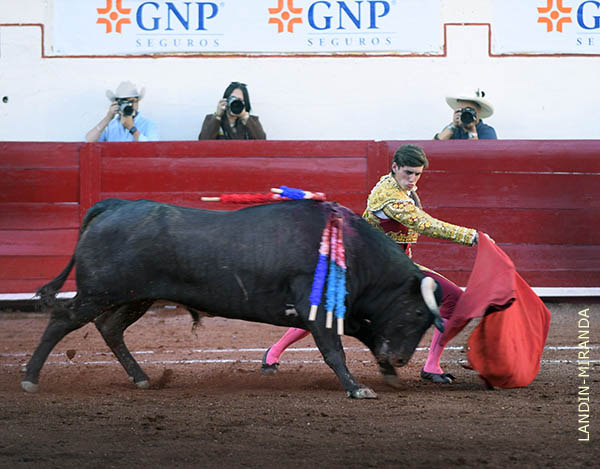 Faena de muleta del hispano