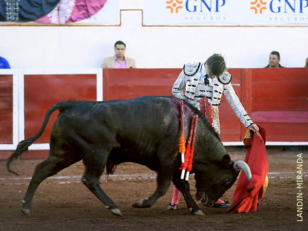 Calidad por el izquierdo