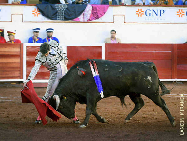 Sentidos ol�s en la faena