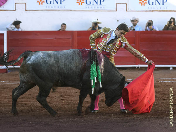 Metido en la canasta