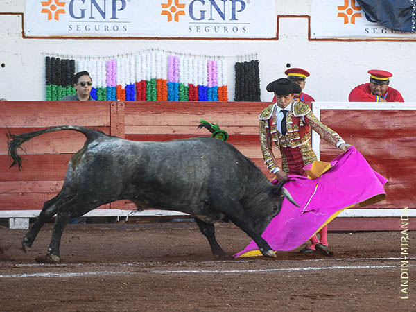 Navarrete inicia la segunda novillada