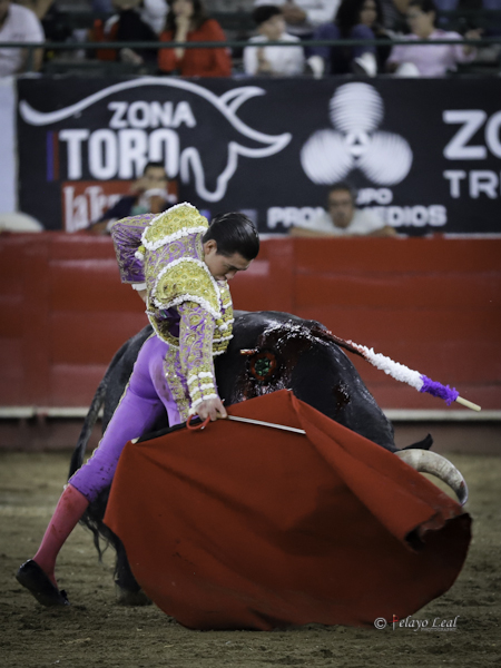 Series con sentimiento