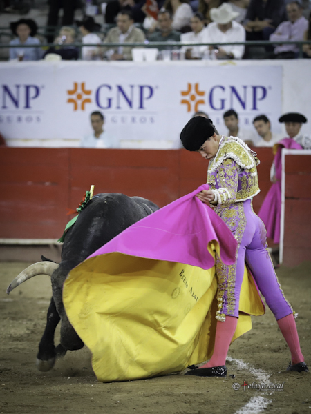 Mecidas ver�nicas de Bruno